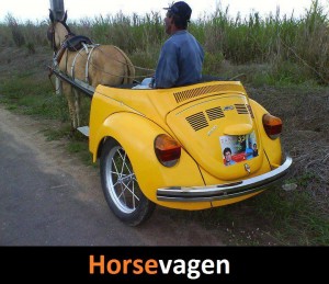 horse_vagen